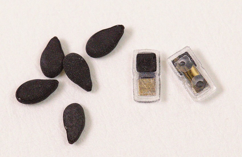 Najmanji pejsmejker dizajniran je i da se rastvori u telu kada više nije potreban