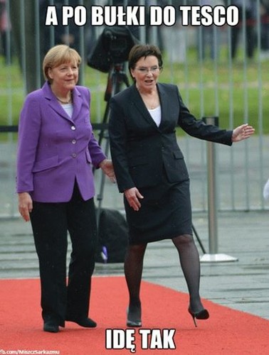 mem / Miszcz sarkazmu