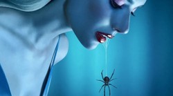 "American Horror Story" z nowym sezonem. Co jeszcze w Disney+ na Halloween?