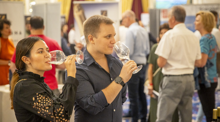 A díjnyertes borokat meg is kóstolhatták a résztvevők / Fotó: Knap Zoltán