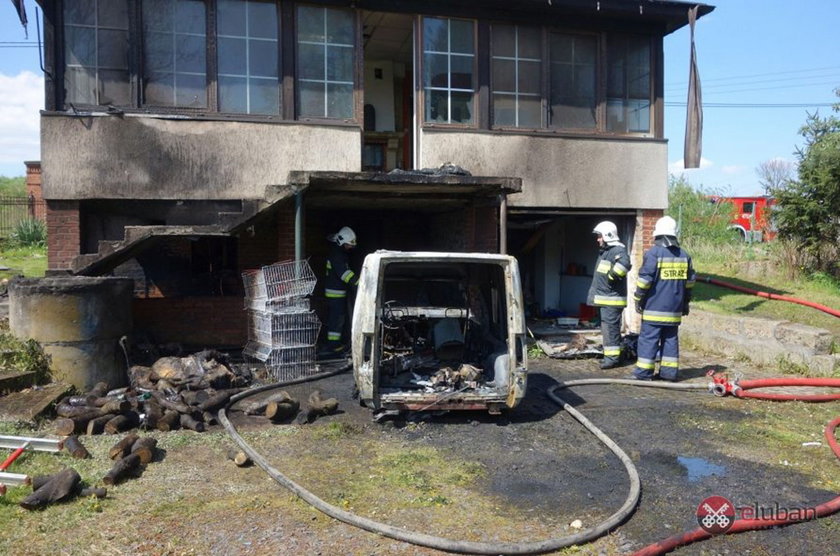 Mieszkaniec Lubina wpadł w szał i zniszczył swój dobytek 