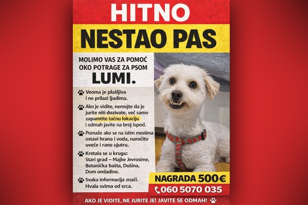 Filmadžije iz Nemačke