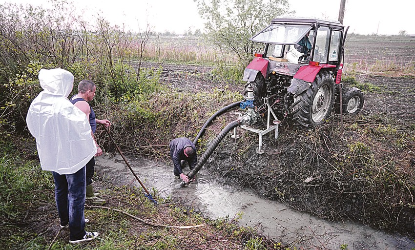 Istraga ubistva u Borči