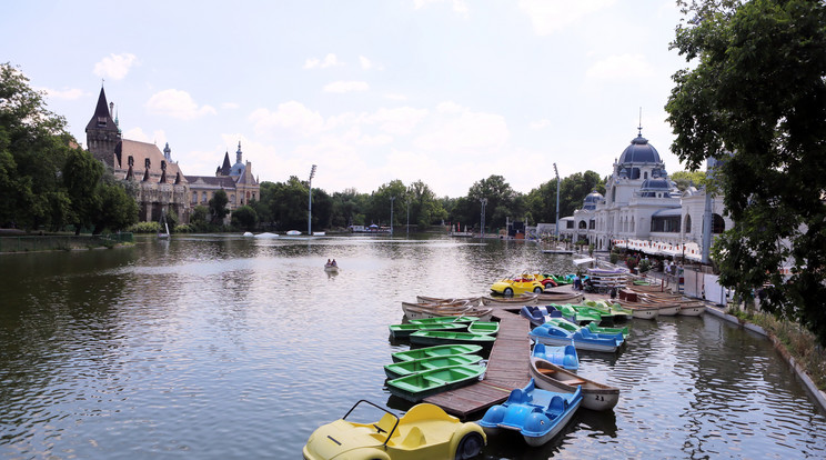 Még vizsgálják, mi okozta a kacsák halálát/Fotó: RAS Archívum