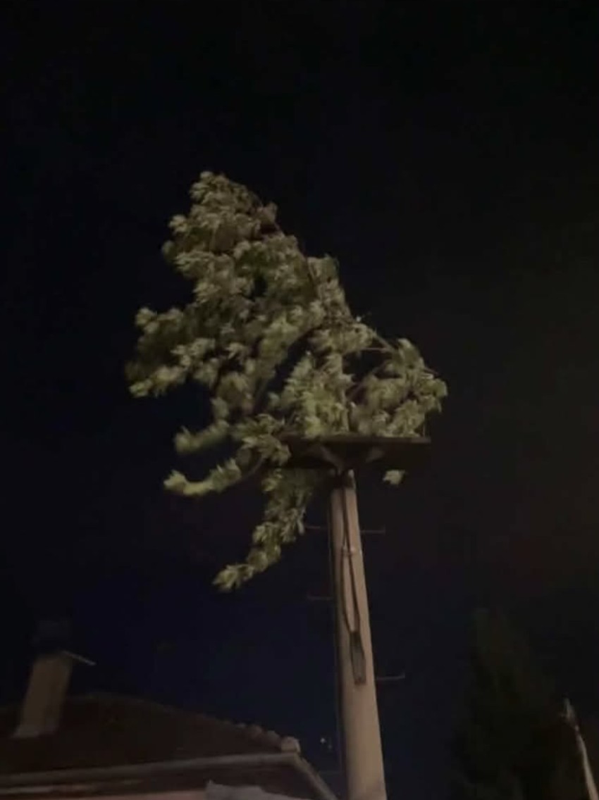 Vetar bacio granu od drvtea na vrh bandere u Smederevu
