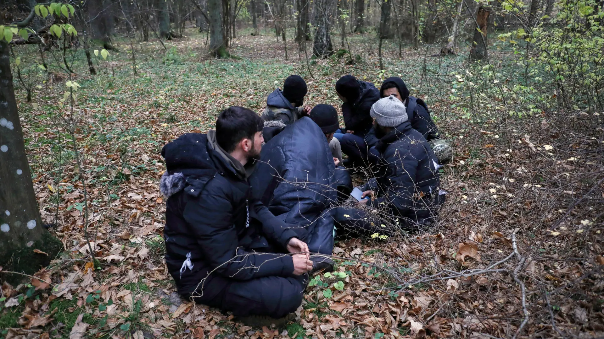 W lesie przy granicy nadal są ludzie. "Boimy się powtórki dramatu z zeszłego roku"