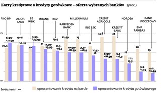 Dług na karcie kredytowej łatwiej spłacić w ratach