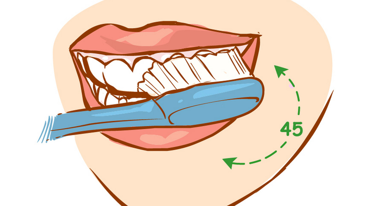 Każdy posiłek złożony zwłaszcza z węglowodanów dostarcza świeżej pożywki bakteriom. Jeżeli nie mamy możliwości wyszczotkowania zębów po każdym posiłku, zaleca się jedzenie, np. jabłka lub wypłukanie ust. Jeśli myjesz zęby zbyt szybko i niedokładnie, nie ma szans, żeby były czyste. Sprawdź, jak prawidłowo dbać o higienę jamy ustnej.