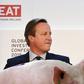 David Cameron piggate świnia