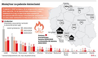 Mniej kar za palenie śmieciami