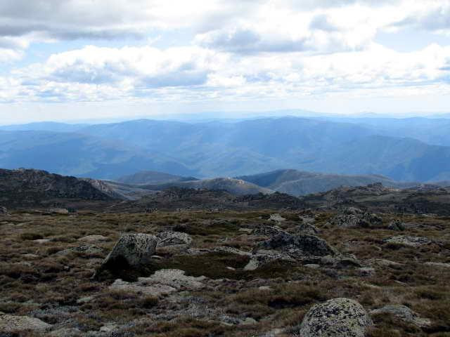 Galeria Australia - Kosciuszko National Park, obrazek 22