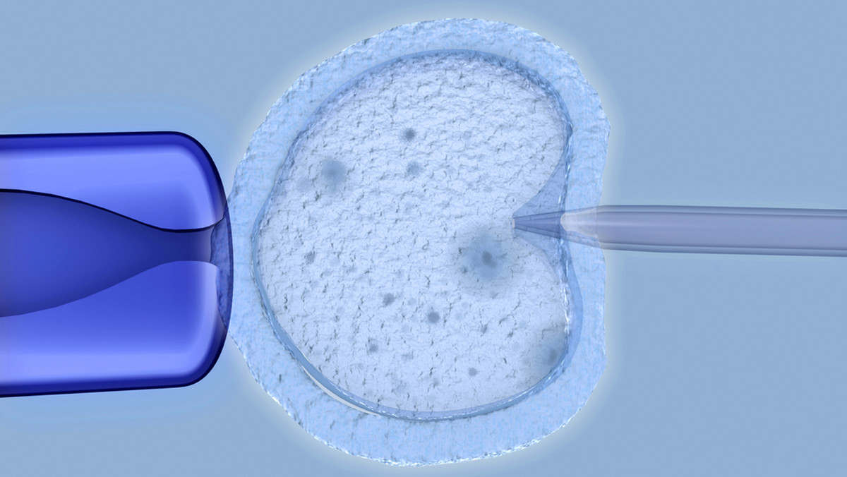 Posłowie uchwalili ustawę dotyczącą in vitro. Dokument o leczeniu niepłodności, który reguluje m.in. właśnie zasady stosowania zapłodnienia metodą in vitro poparło 261 posłów. Przeciwko było 176 posłów, a sześć osób wstrzymało się od głosu.