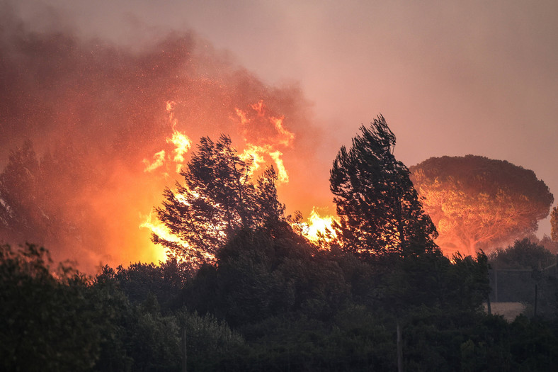 Pożary w Portugalii, 25 lipca 2023 r.