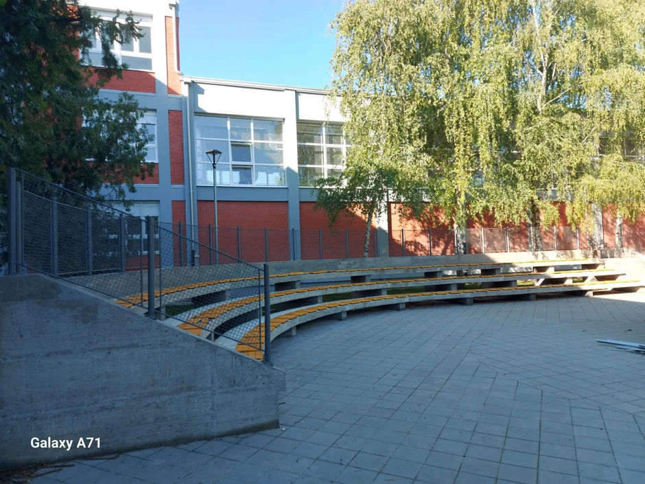 "Svetislav Golubović Mitraljeta"