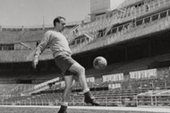 Alfredo di Stefano