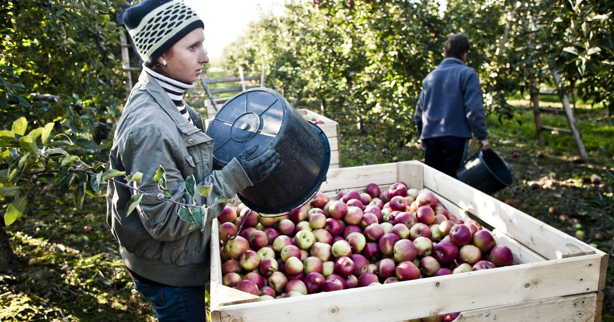 Płacą prawie 6 tys. miesięcznie. Pracownicy rezygnują po kilku dniach