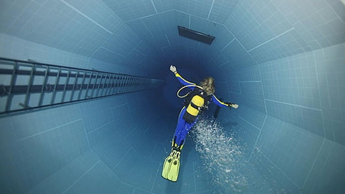 Nemo 33