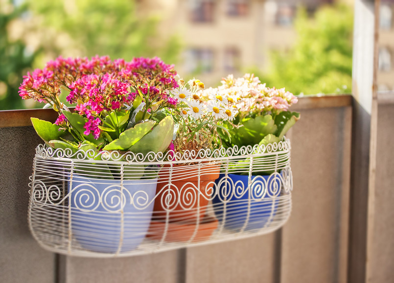 Wspólnota mieszkaniowa ma prawo do wprowadzenia takich zapisów. Kwestie dotyczące grillowania na balkonie lub wywieszania donic z kwiatami może regulować we własnym zakresie.