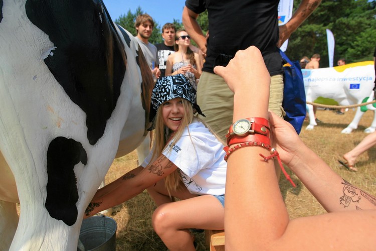 19. Przystanek Woodstock w Kostrzynie nad Odrą