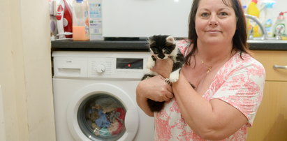 Wyprała kotka w pralce. Jaki efekt?