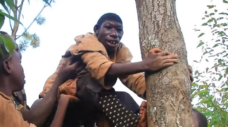Az afrikai dzsungelbe kényszerülve éli életét a kigúnyolt fiú