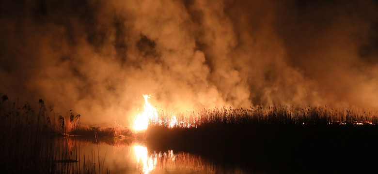 Pożar w Biebrzańskim Parku Narodowym to kataklizm