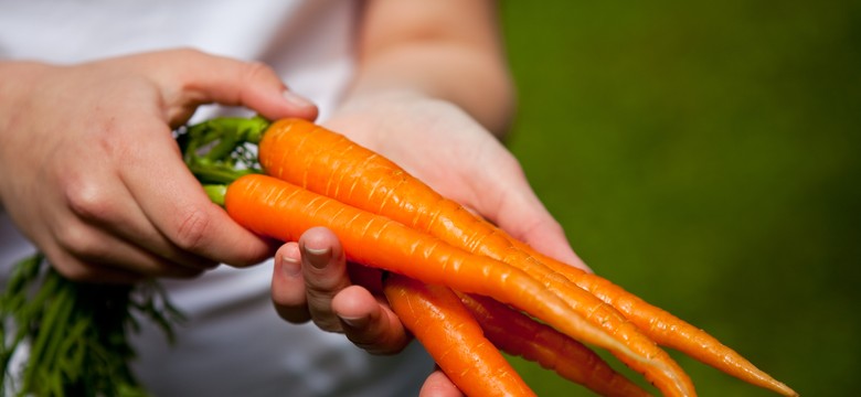 Metale ciężkie i pestycydy w warzywach i owocach z działek – wyniki badań komentuje ekspertka IOŚ-PIB