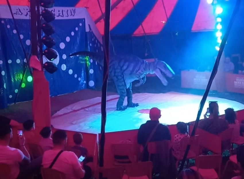 Njegov "kolega" u cirkusu