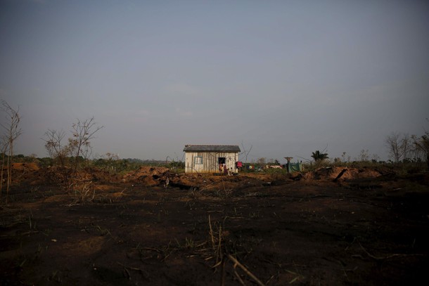 The Wider Image: Earthprints: Rio Pardo