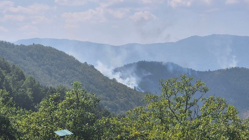Požar na Stolovima