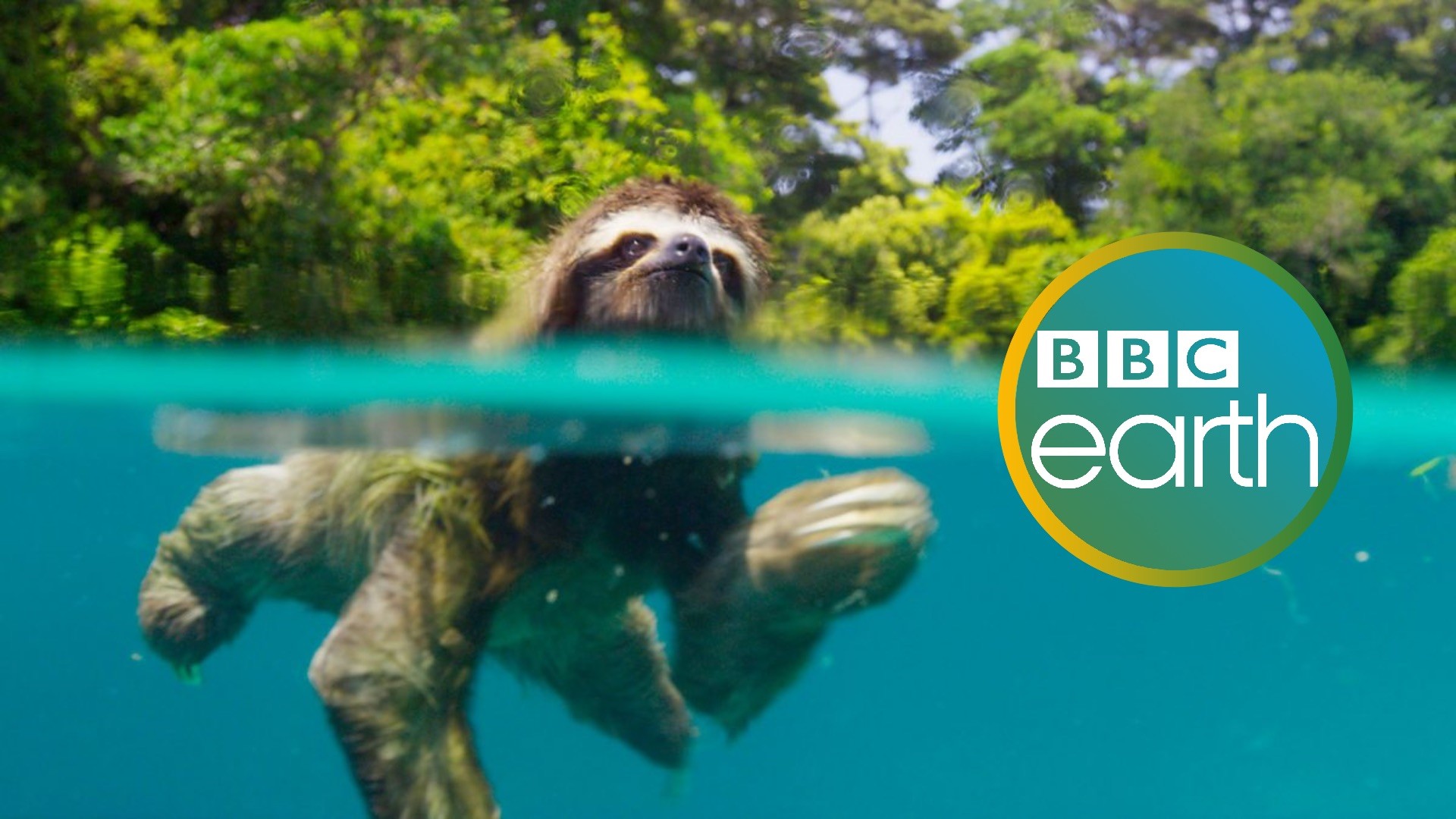 BBC Earth