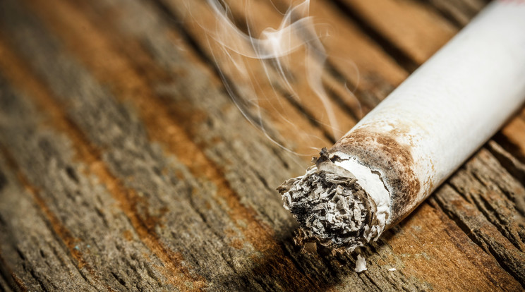Jelentősen emelkedett az elmúlt évben a dohánytermékek forgalma Magyarországon. / Illusztráció: Northfoto