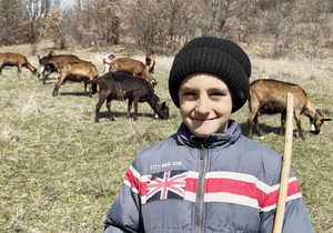 Nemanja Trajković