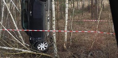 Auto "stanęło" na drzewie. Kierowcy szuka policja