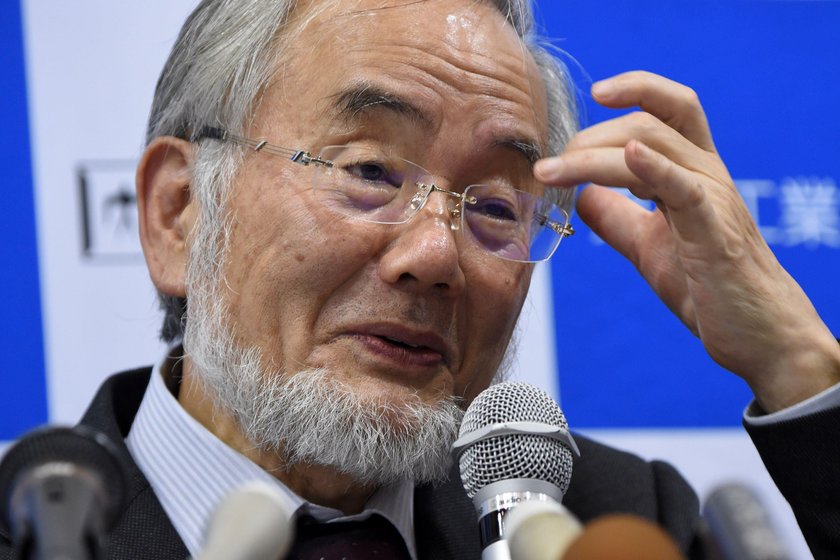 prof. Yoshinori Ohsumi pracuje w Tokio Institute of Technology