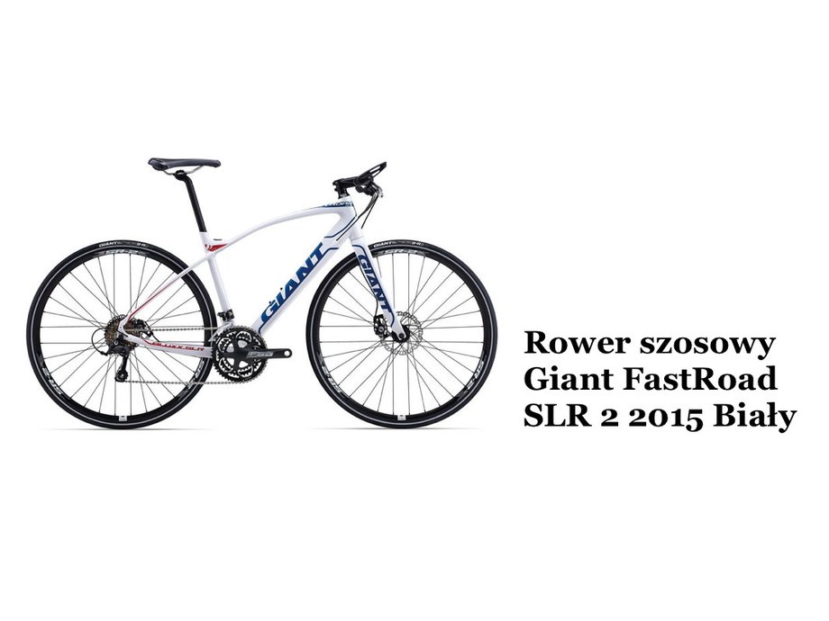 Giant FastRoad SLR 2 2015