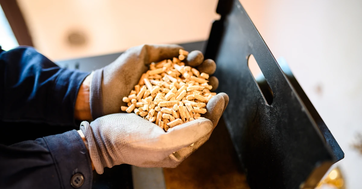 Piec na pellet 2025 - cena z montażem? Jaki piec na pellet wybrać?