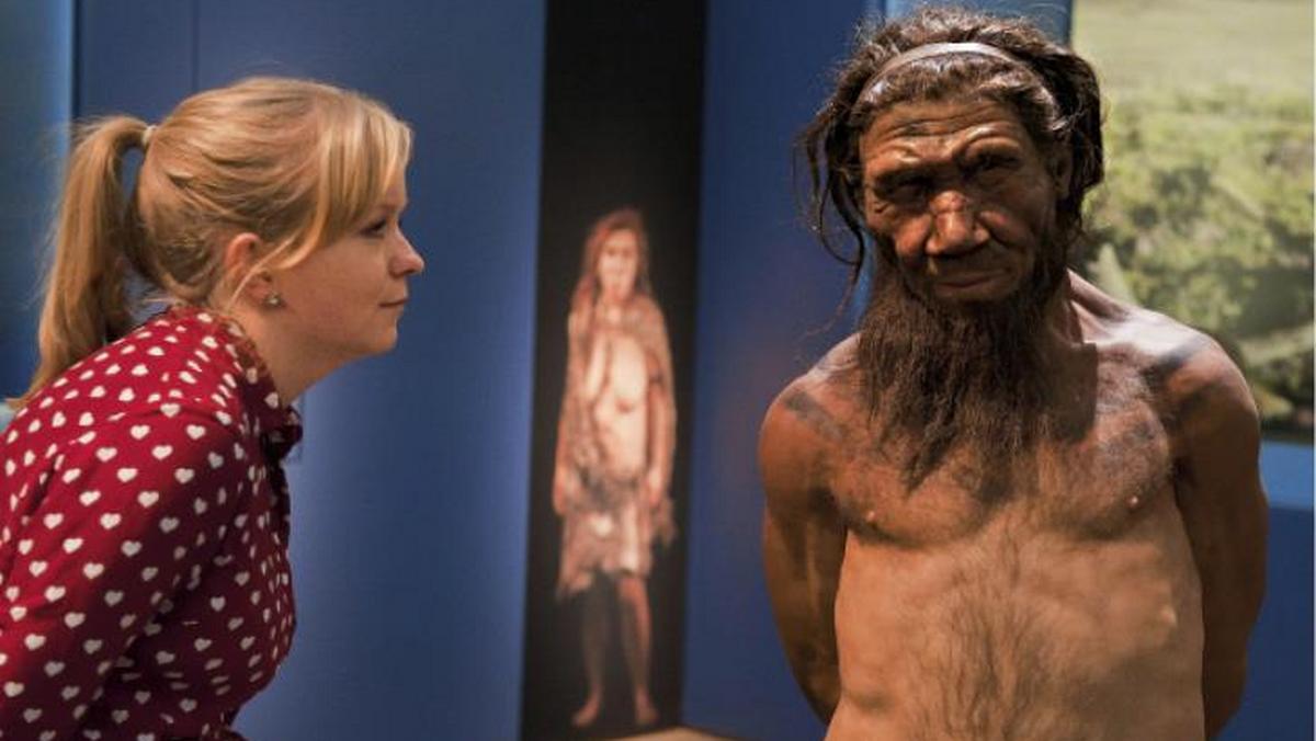model neandertalczyka w Londynie
