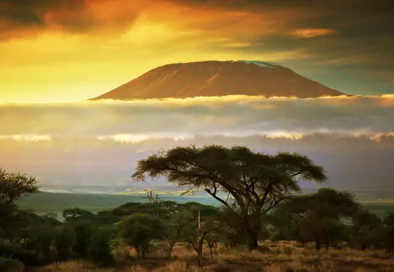 Afrykańskie teraz albo nigdy - zima to najlepszy czas dla portfela, aby odwiedzić Kenię - nie zwlekaj!