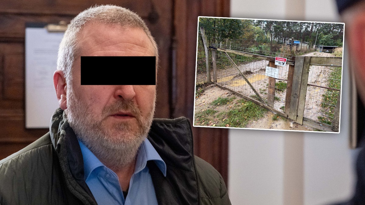 Psy byłego policjanta zagryzły grzybiarza. Ruszył proces w Zielonej Górze