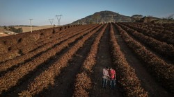 Południe Europy może czekać w tym roku najgorsza w historii susza