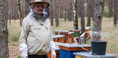Pszczelarz, któremu wytruto pół miliona pszczół dostał pomoc, której się nie spodziewał