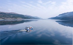 Naukowcy: W Loch Ness nie ma dinozaurów czy rekinów. Nessie może być wielkim węgorzem