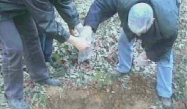 170037_stambolic-fruska-gora01