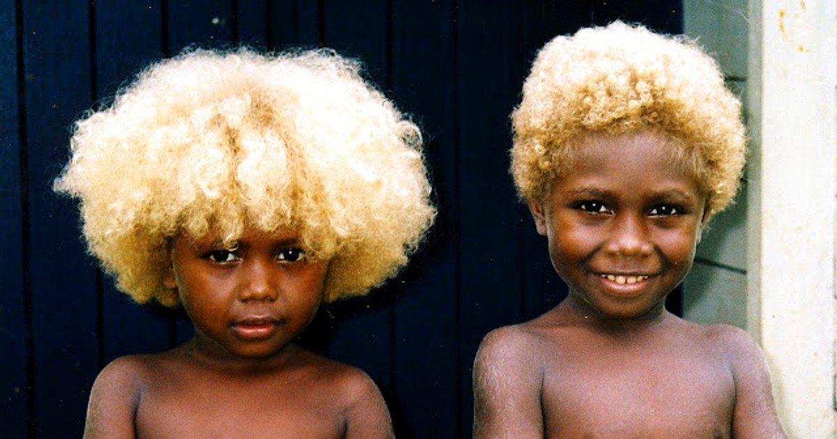 Melanesians: Meet the world's only natural black blondes | Pulse Nigeria