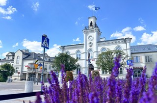 Ciechanów jak magnes