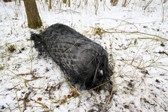 Szczątki rakiety SpaceX spadły na Polskę! Firma Muska komentuje awarię Falcon 9