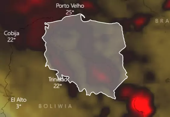 Porównaliśmy obszar pożarów Amazonii do wielkości Polski. Co minutę znika 1,5 boiska piłkarskiego