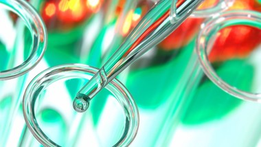 jak zabezpieczyć kadry dla sektora biotechnologii