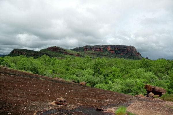 Galeria Australia – Park Narodowy Kakadu, obrazek 15